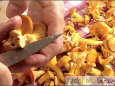 préparer des champignons - les chanterelles