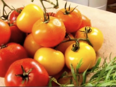 faire une salade de suprêmes de tomates à l'estragon