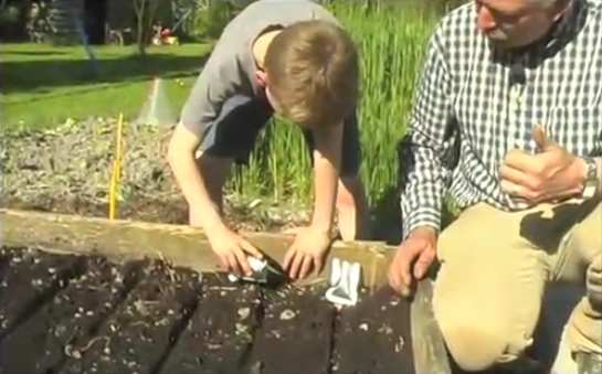 faire des semis de radis et salades