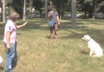 habituer son chien aux passants