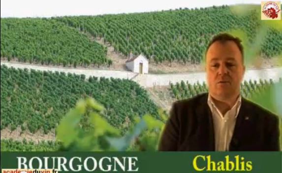 mieux connaître la Bourgogne viticole